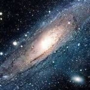 Meet your Posher, Steve